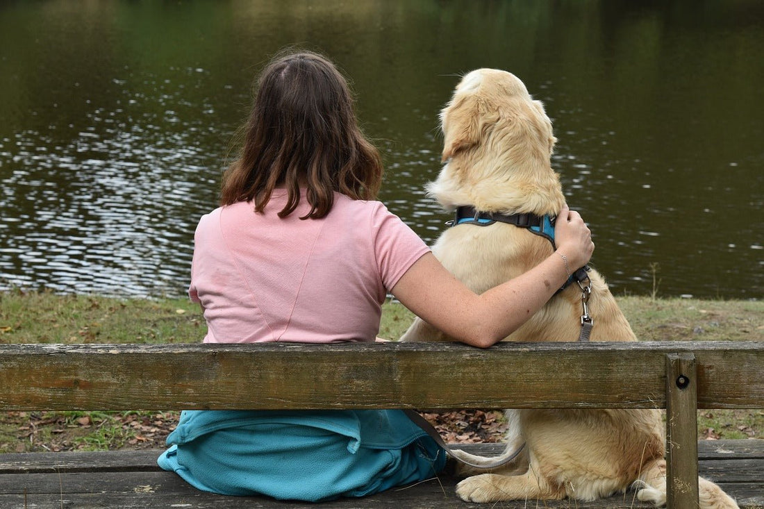 Top 10 Friendliest Dog Breeds - Birdie Girl