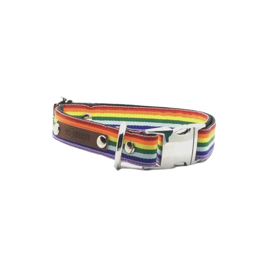 Love is Love Dog Collar (25mm width) - Birdie Girl